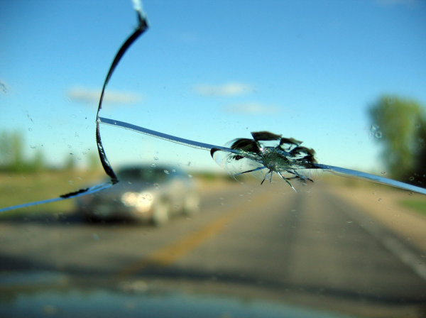 Windshield Replacement Warranty